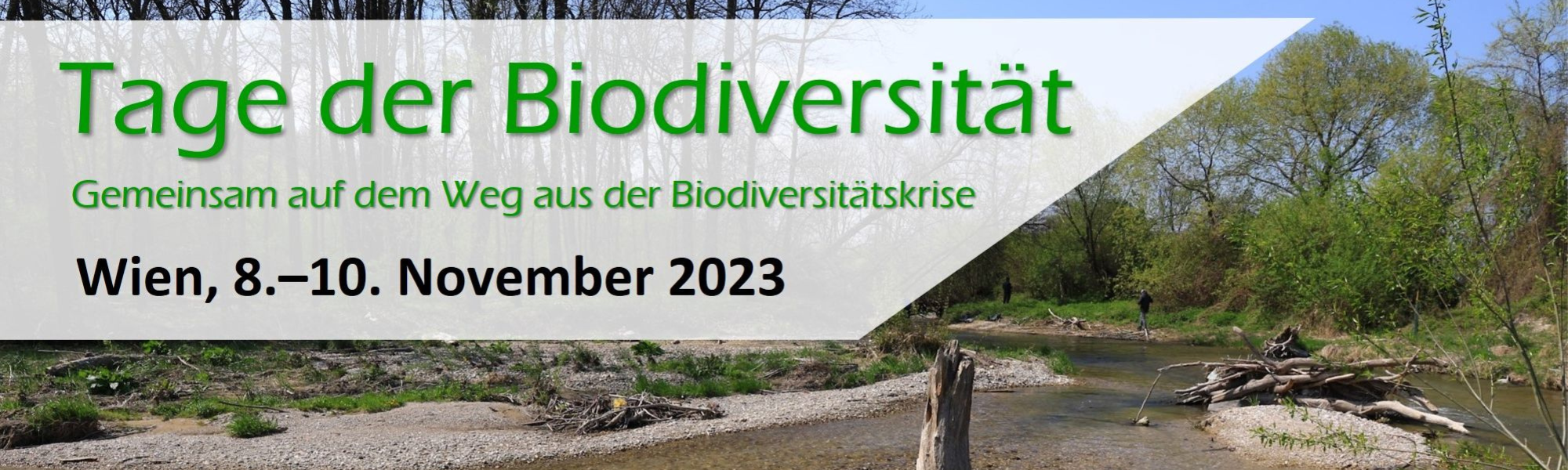 Tage der Biodiversität – Gemeinsam auf dem Weg aus der Biodiversitätskrise